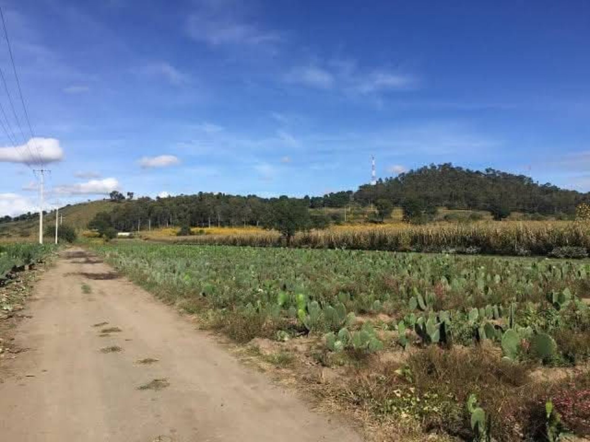 ¿QUIERES HACERTE MILLONARIO EN UN DÍA?