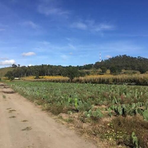 ¿QUIERES HACERTE MILLONARIO EN UN DÍA?