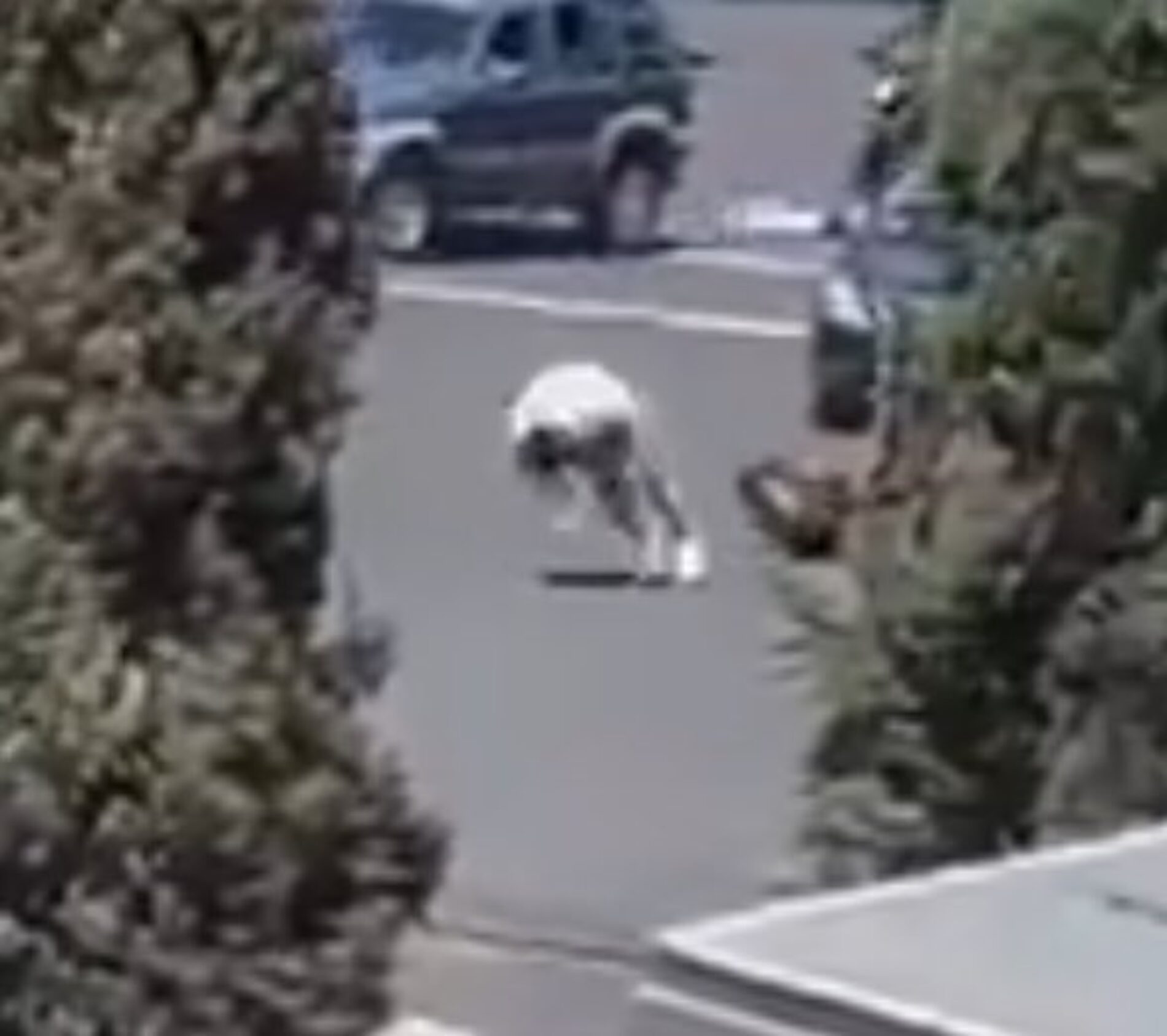 POLICIA MAT4 A JOVEN EN PELEA