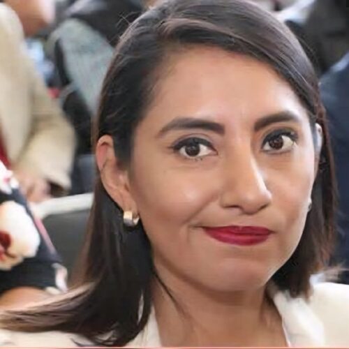 LARGATE NO TE QUEREMOS DIPUTADA