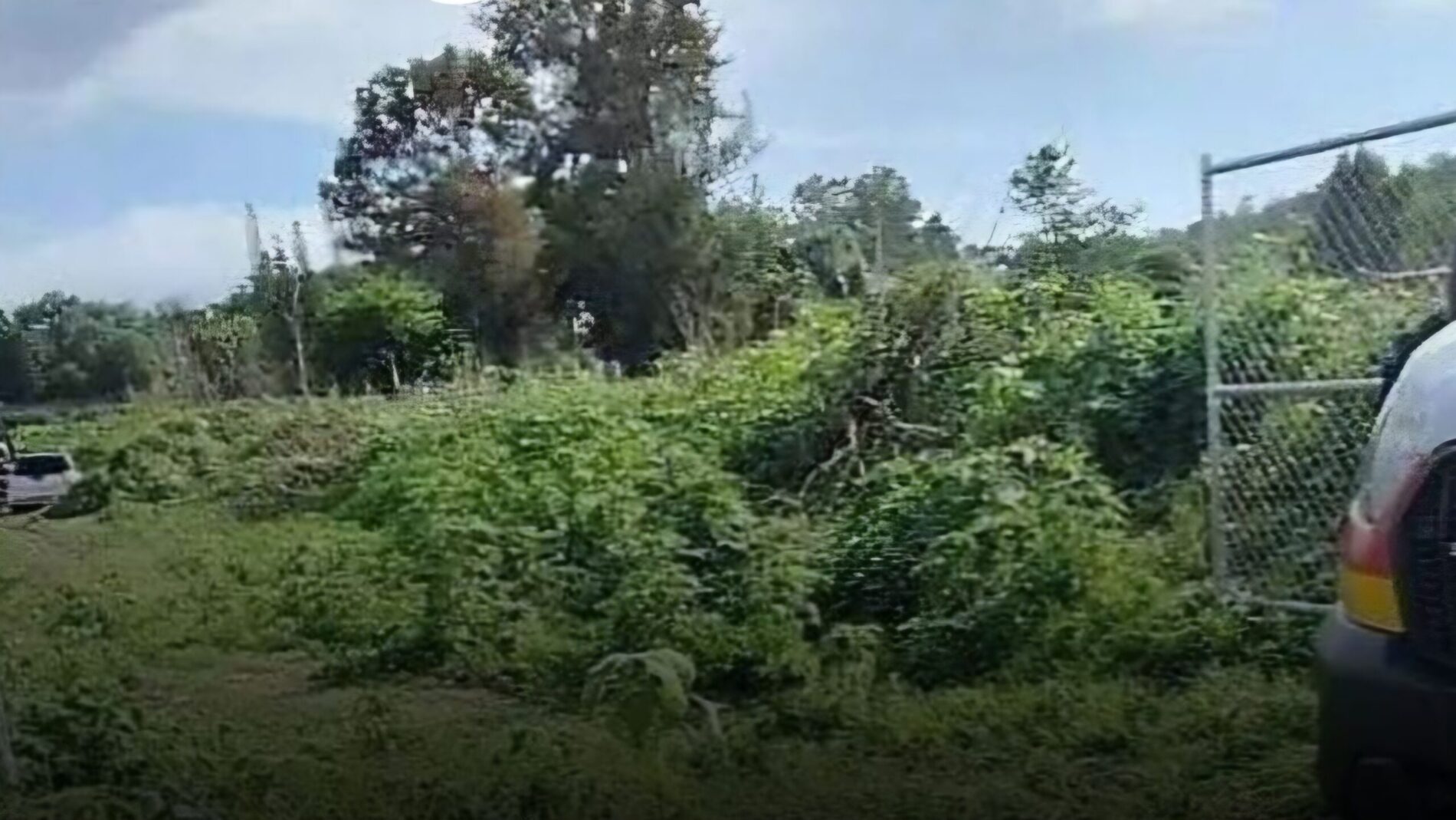 LE ENTIERRAN CUCHILLO PARA ASALTARLO