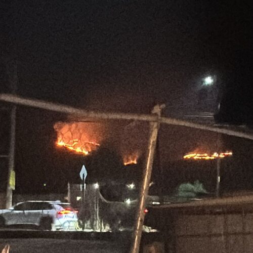 INCENDIO CONSUME EL ZAPOTECAS